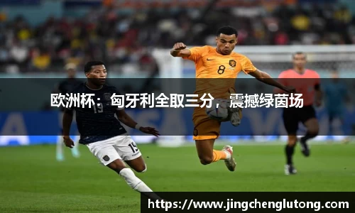 qy千亿球友体育