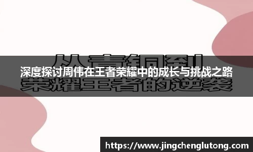 qy球友会体育网站