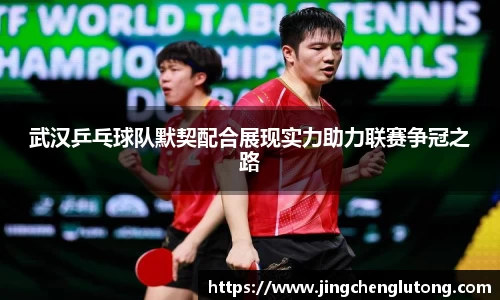 qy球友会体育网站
